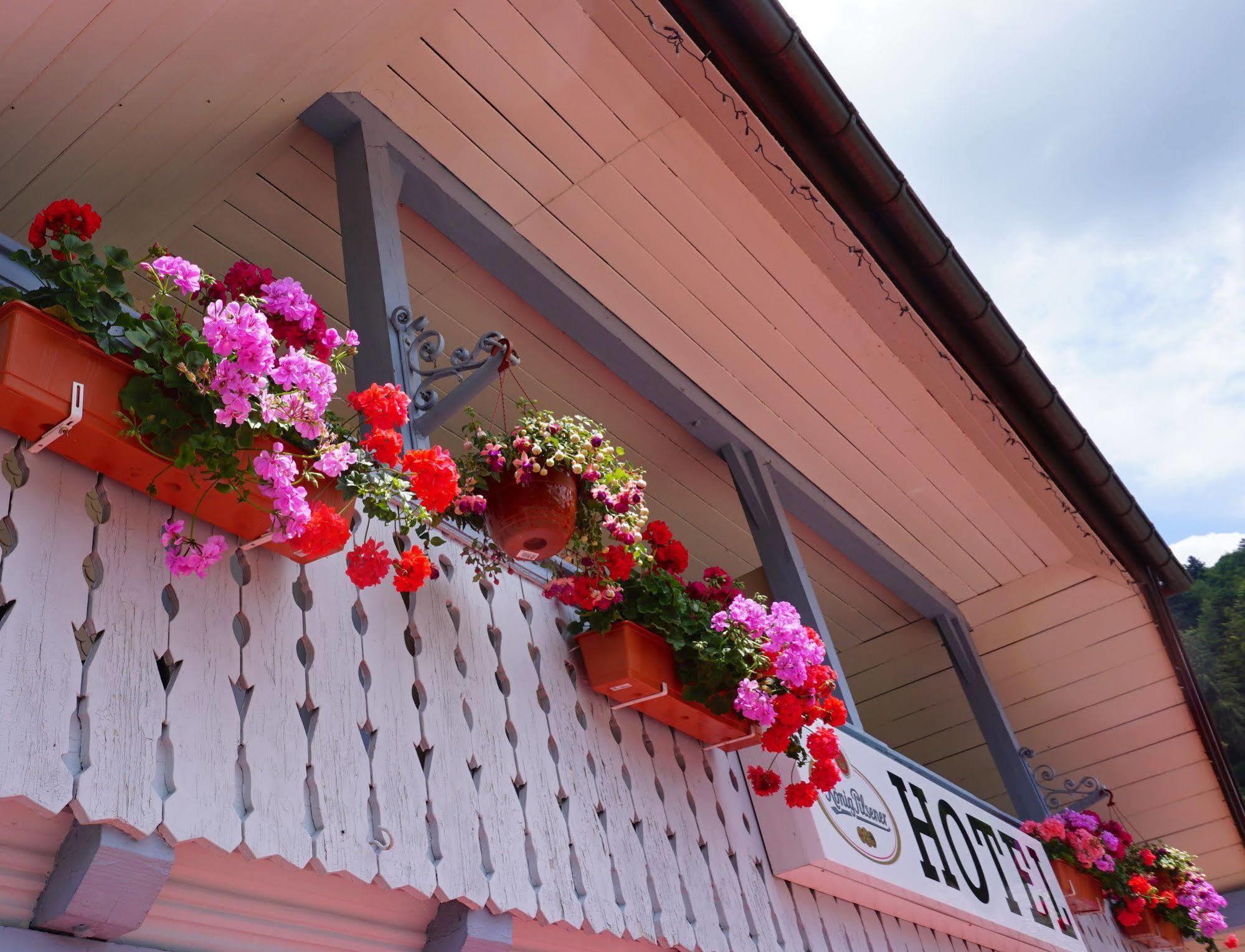 Hotel Ratsstüble Todtmoos Exterior foto